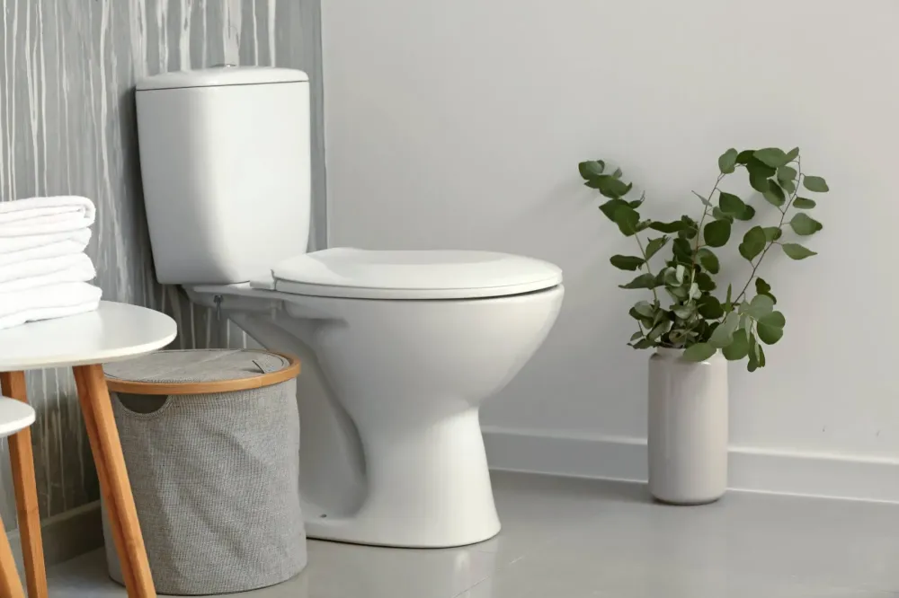 sanitaires wc